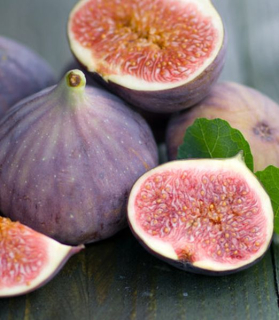 Ficus carica 'Rosso di Trani'